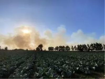 Son dakika haber... Sakarya'da anız yangını dumanları şehri kapladı Son dakika haber... Sakarya'da anız yangını dumanları şehri kapladı
