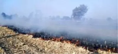 Son dakika haber... Sakarya'da anız yangını dumanları şehri kapladı Son dakika haber... Sakarya'da anız yangını dumanları şehri kapladı