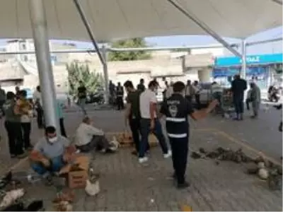 Şanlıurfa'da güvercin pazarında korona denetimi Şanlıurfa'da güvercin pazarında korona denetimi