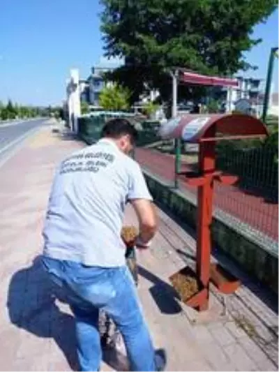 Serdivan Belediyesi sokak hayvanlarını unutmuyor Serdivan Belediyesi sokak hayvanlarını unutmuyor