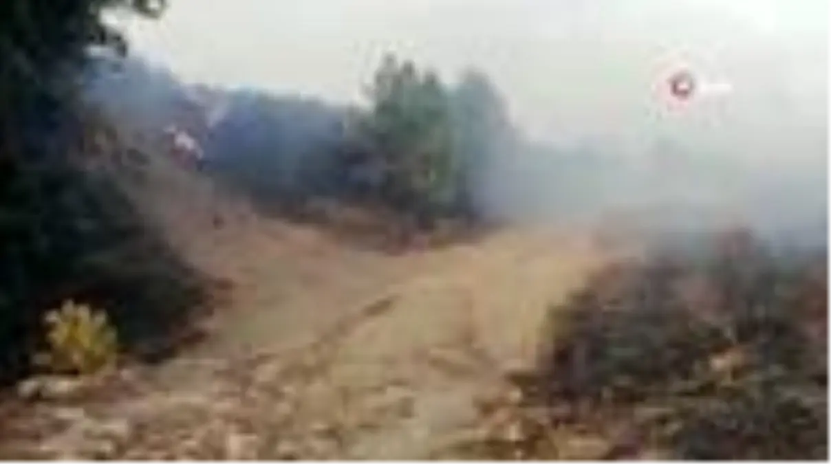 Söke'de tedbir amaçlı boşaltılan ev sayısı 90'a ulaştı