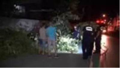 SULTANGAZİ'DE PARK HALİNDEKİ ARACIN ÜSTÜNE AĞAÇ DEVRİLDİ SULTANGAZİ'DE PARK HALİNDEKİ ARACIN ÜSTÜNE AĞAÇ DEVRİLDİ