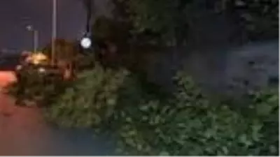 SULTANGAZİ'DE PARK HALİNDEKİ ARACIN ÜSTÜNE AĞAÇ DEVRİLDİ SULTANGAZİ'DE PARK HALİNDEKİ ARACIN ÜSTÜNE AĞAÇ DEVRİLDİ