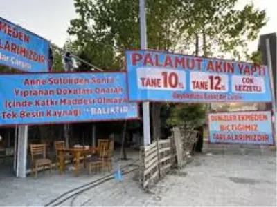 Tezgahlarda palamut bayramı