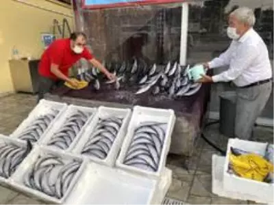Tezgahlarda palamut bayramı