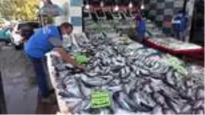 Türkiye'de palamut bolluğu yaşanıyor: Kilosu 10 liradan satılıyor Türkiye'de palamut bolluğu yaşanıyor: Kilosu 10 liradan satılıyor