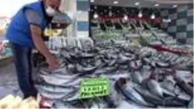Türkiye'de palamut bolluğu yaşanıyor: Kilosu 10 liradan satılıyor Türkiye'de palamut bolluğu yaşanıyor: Kilosu 10 liradan satılıyor