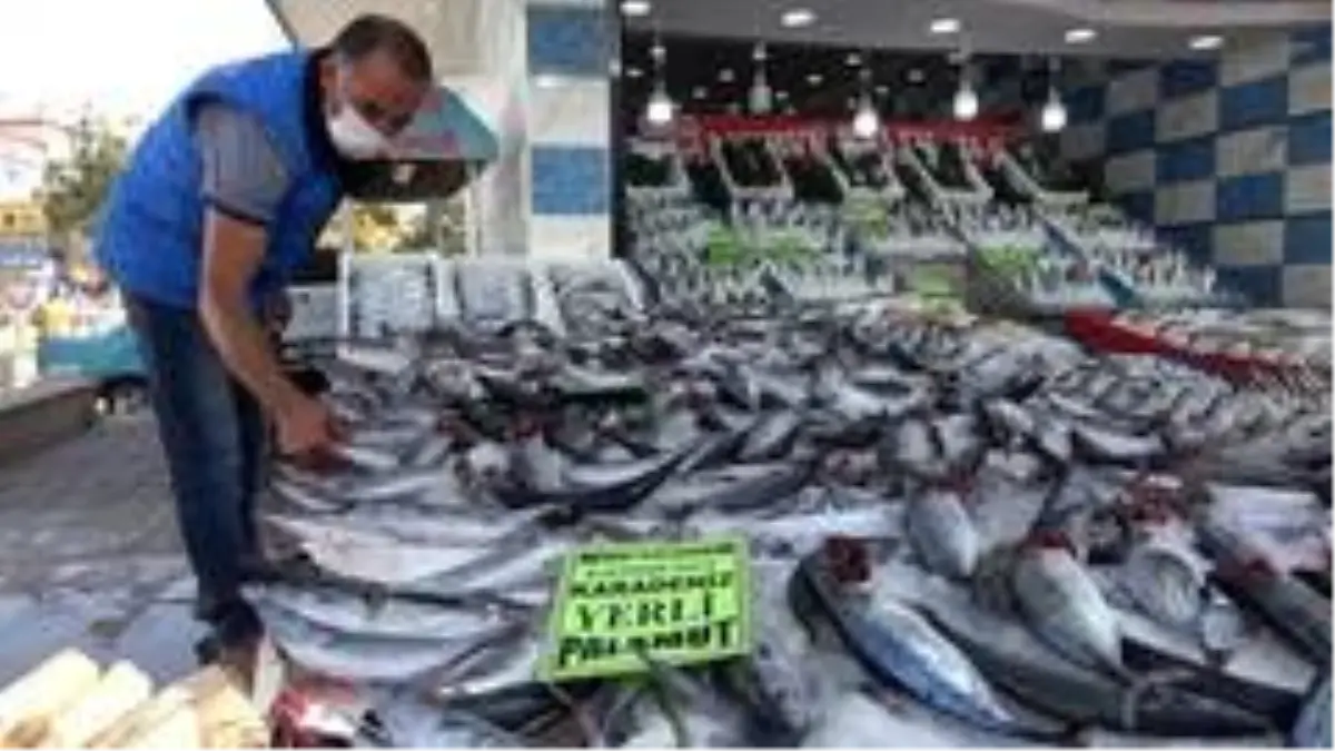 Türkiye'de palamut bolluğu yaşanıyor: Kilosu 10 liradan satılıyor