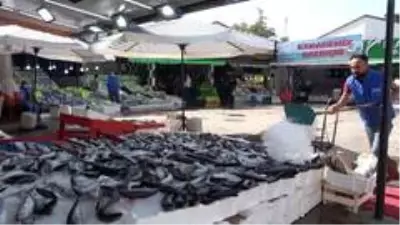 Türkiye'de palamut bolluğu yaşanıyor: Kilosu 10 liradan satılıyor Türkiye'de palamut bolluğu yaşanıyor: Kilosu 10 liradan satılıyor