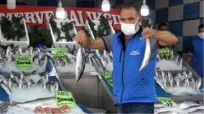 Türkiye'de palamut bolluğu yaşanıyor: Kilosu 10 liradan satılıyor Türkiye'de palamut bolluğu yaşanıyor: Kilosu 10 liradan satılıyor