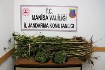 Uyuşturucu taciri genç çift fotokapan sayesinde yakayı ele verdi Uyuşturucu taciri genç çift fotokapan sayesinde yakayı ele verdi