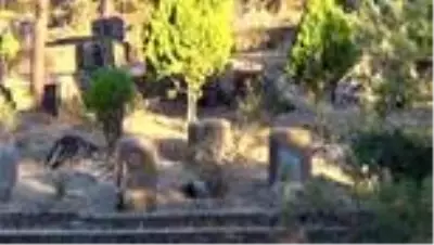 Yesemek Açık Hava Müzesi'ni 4 ayda 4 bin 500 turist gezdi Yesemek Açık Hava Müzesi'ni 4 ayda 4 bin 500 turist gezdi