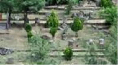 Yesemek'e 4 ayda 4 bin 500 ziyaretçi Yesemek'e 4 ayda 4 bin 500 ziyaretçi