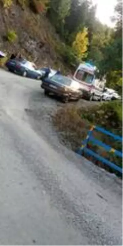 17 yaşındaki genç kanyonda boğularak hayatını kaybetti 17 yaşındaki genç kanyonda boğularak hayatını kaybetti