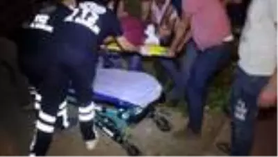 Ağaç budarken düşen kişi yaralandı Ağaç budarken düşen kişi yaralandı
