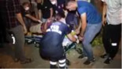Ağaç budarken düşen kişi yaralandı Ağaç budarken düşen kişi yaralandı