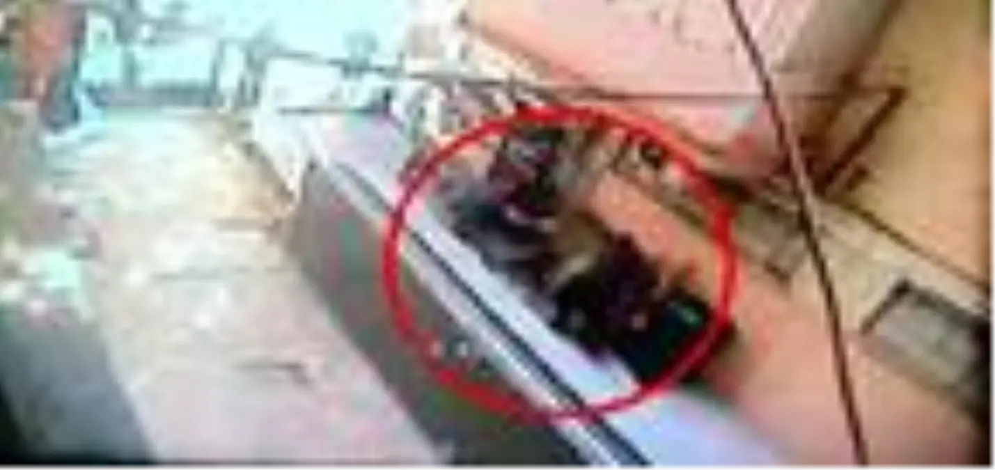 Alacak kavgasında akrabasını tabancayla vurdu (2)