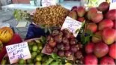 Alanya'da yetişen tropik meyveler, 350 liraya varan fiyatlarıyla dudak uçuklatıyor Alanya'da yetişen tropik meyveler, 350 liraya varan fiyatlarıyla dudak uçuklatıyor