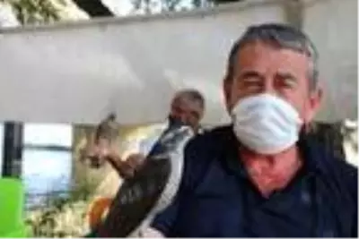 Atmaca tutkunları sahaya çıktı Atmaca tutkunları sahaya çıktı