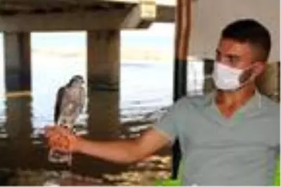 Atmaca tutkunları sahaya çıktı Atmaca tutkunları sahaya çıktı