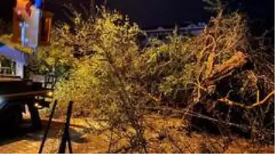 Ayvalık'ta ceviz büyüklüğündeki dolu hayatı felç etti Ayvalık'ta ceviz büyüklüğündeki dolu hayatı felç etti