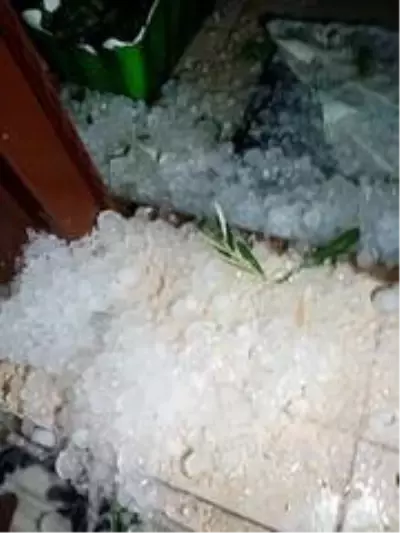 Ayvalık'ta ceviz büyüklüğündeki dolu hayatı felç etti Ayvalık'ta ceviz büyüklüğündeki dolu hayatı felç etti