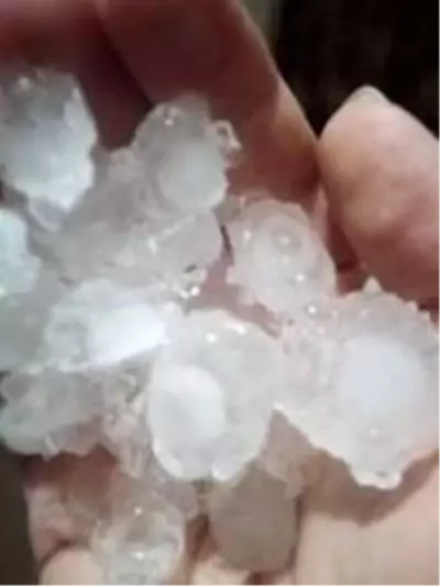 Ayvalık'ta ceviz büyüklüğündeki dolu hayatı felç etti Ayvalık'ta ceviz büyüklüğündeki dolu hayatı felç etti