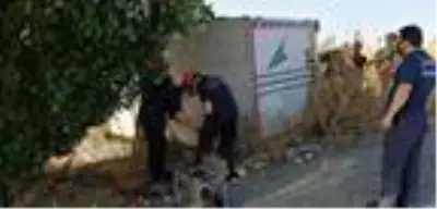 (Bağcılar'da freni boşalan kamyonetin altında kalan şoför hayatını kaybetti (Bağcılar'da freni boşalan kamyonetin altında kalan şoför hayatını kaybetti