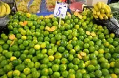 Bilecik'te mandalina tezgahlarda yerini almaya başladı Bilecik'te mandalina tezgahlarda yerini almaya başladı