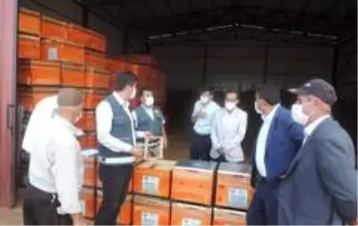 Bingöl'de 7 bin 640 adet hibe destekli arı kovanı dağıtıldı Bingöl'de 7 bin 640 adet hibe destekli arı kovanı dağıtıldı
