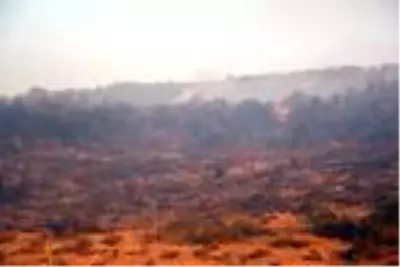 DHA YURT BÜLTENİ - 2 DHA YURT BÜLTENİ - 2
