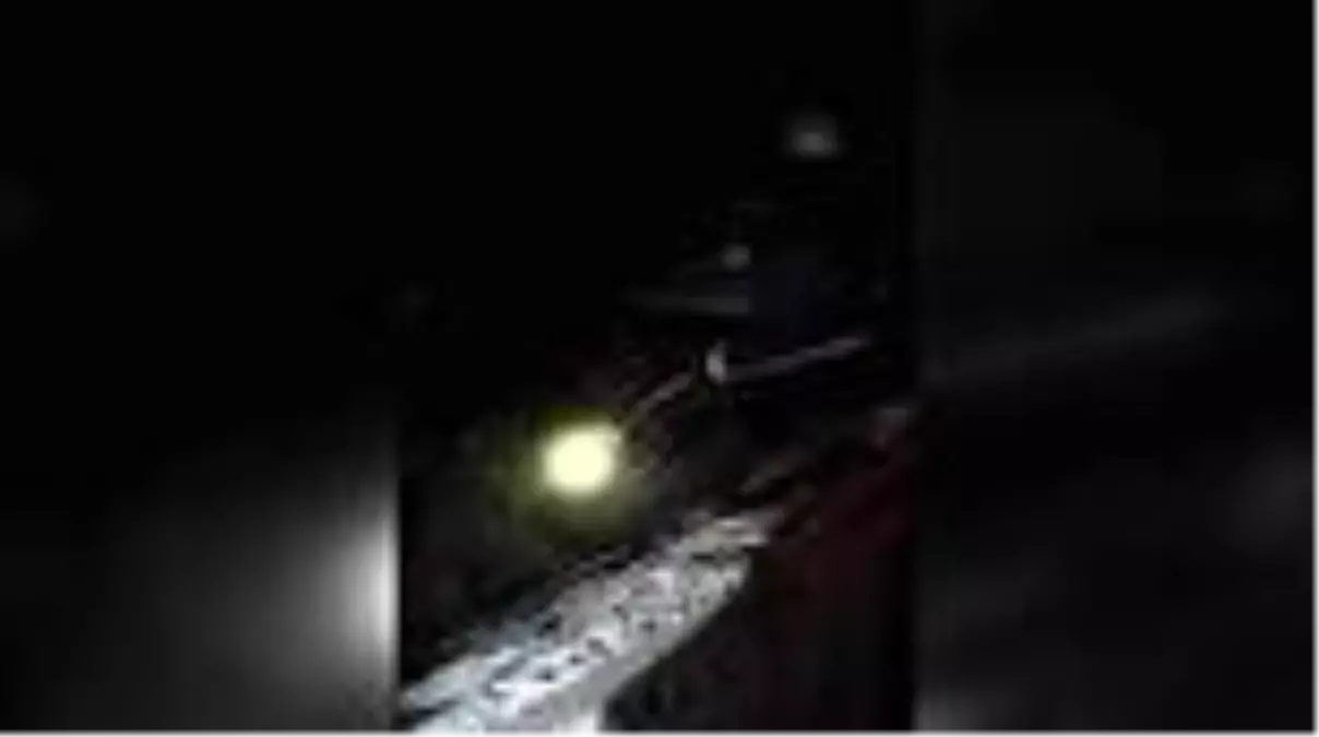 Son dakika haberi: Dereye yatağına düşen yavru köpeği itfaiye kurtardı