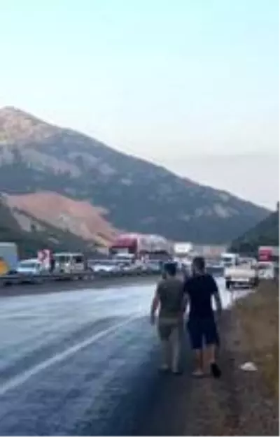 Dorse kapağı açıldı, tonlarca balık yola savruldu Dorse kapağı açıldı, tonlarca balık yola savruldu