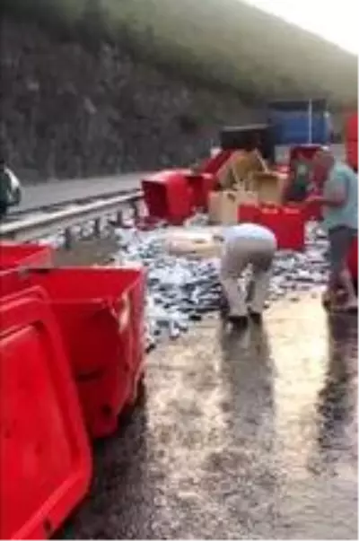 Dorse kapağı açıldı, tonlarca balık yola savruldu Dorse kapağı açıldı, tonlarca balık yola savruldu