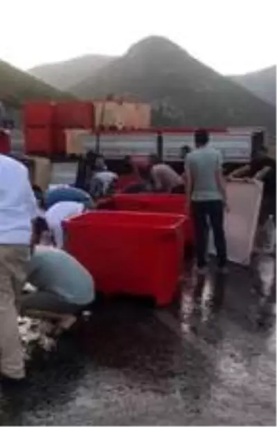 Dorse kapağı açıldı, tonlarca balık yola savruldu Dorse kapağı açıldı, tonlarca balık yola savruldu