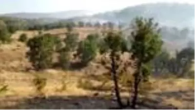 Elazığ'da çıkan yangında 50 dekar ormanlık alan zarar gördü Elazığ'da çıkan yangında 50 dekar ormanlık alan zarar gördü