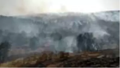 Elazığ'da çıkan yangında 50 dekar ormanlık alan zarar gördü Elazığ'da çıkan yangında 50 dekar ormanlık alan zarar gördü