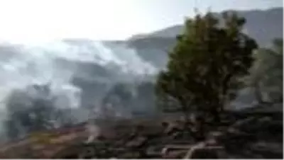 Elazığ'da çıkan yangında 50 dekar ormanlık alan zarar gördü Elazığ'da çıkan yangında 50 dekar ormanlık alan zarar gördü