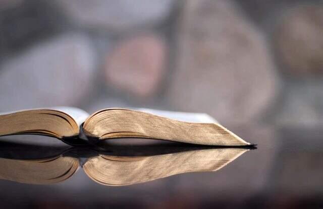 Faşist ne demek? Faşist nedir? Faşist neye denir? Faşizm nedir? Faşizm ne demektir?