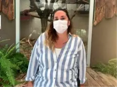 Hayvanat bahçesinden firar eden maymun elektrik akımına kapılarak yaralandı Hayvanat bahçesinden firar eden maymun elektrik akımına kapılarak yaralandı