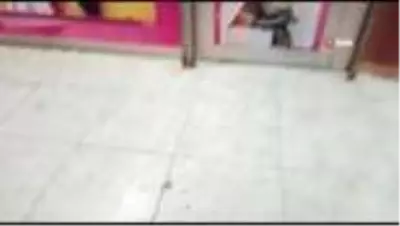 Havanın kararmasıyla ilçeyi sinekler bastı, esnaf iş yerini kapattı Havanın kararmasıyla ilçeyi sinekler bastı, esnaf iş yerini kapattı
