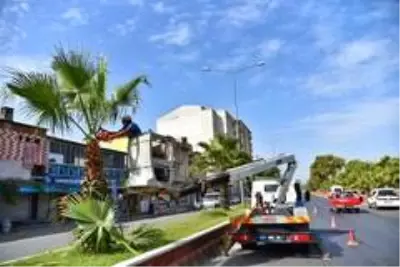 İncirliova'da sonbahar hazırlığı devam ediyor İncirliova'da sonbahar hazırlığı devam ediyor
