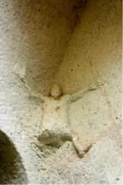 Son dakika haber | Kapadokya'da Hallaç Manastırı, turizme kazandırılmayı bekliyor Son dakika haber | Kapadokya'da Hallaç Manastırı, turizme kazandırılmayı bekliyor