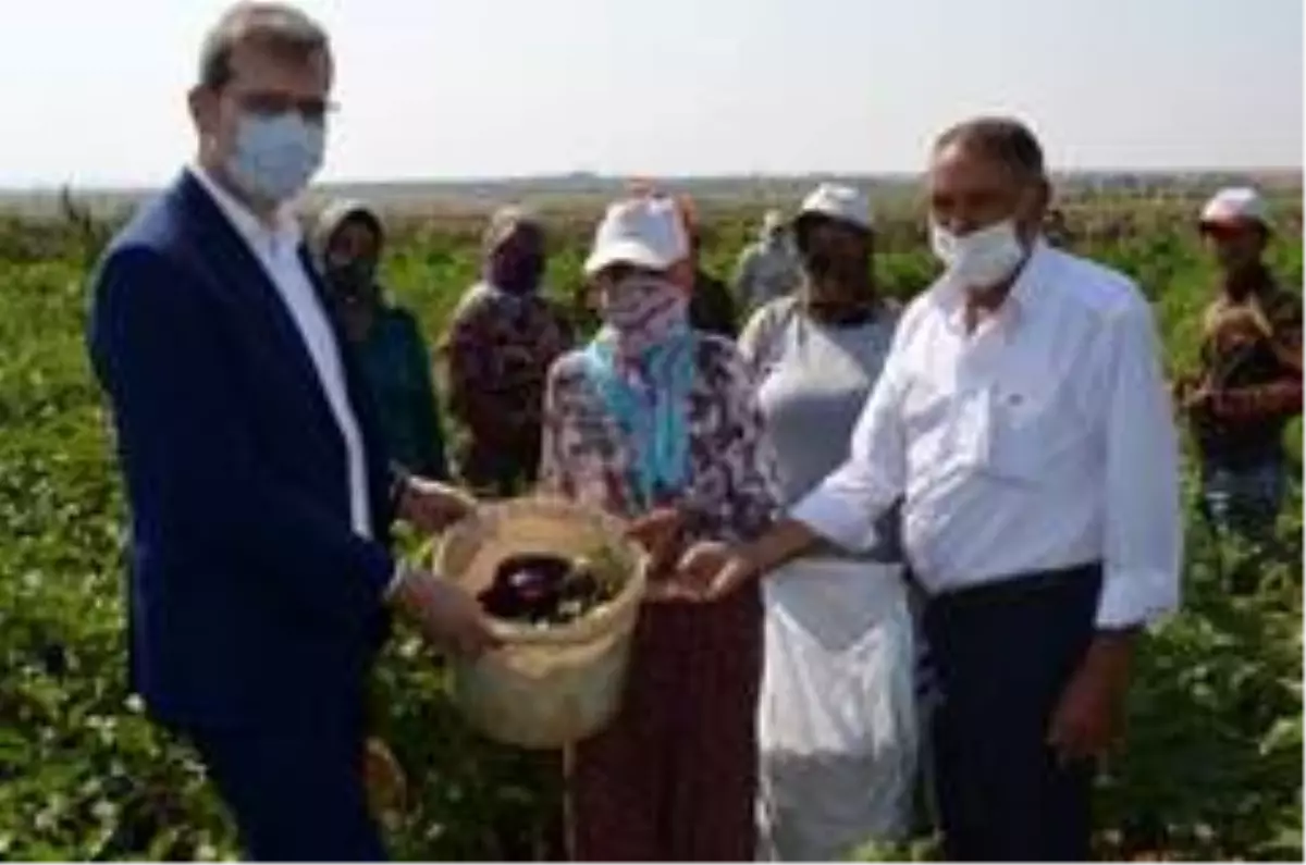 Kilis'te tarım işçilerine ziyaret