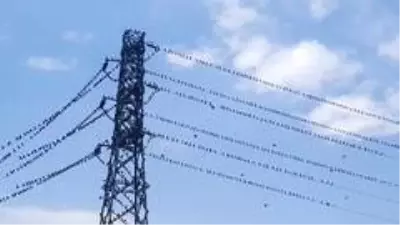 Kırlangıçlar Erzincan'da mola verdi Kırlangıçlar Erzincan'da mola verdi