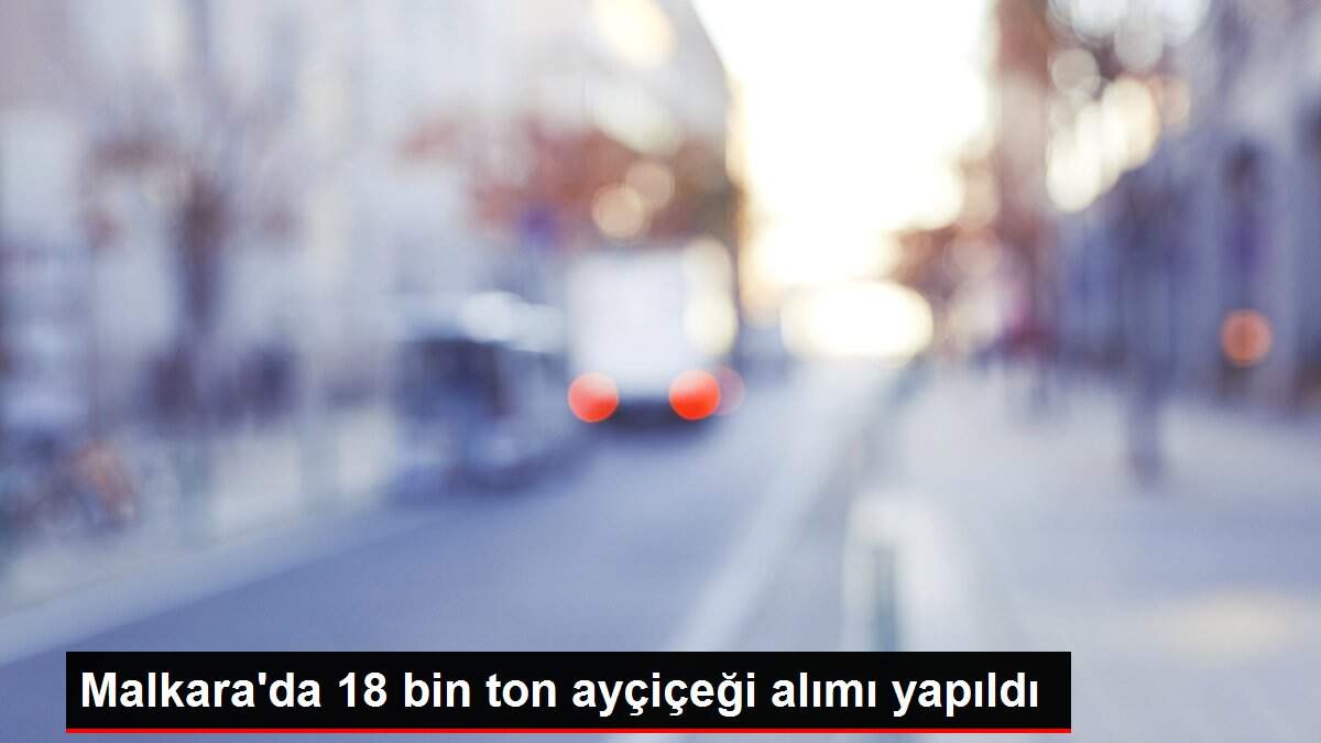 Malkara'da 18 bin ton ayçiçeği alımı yapıldı