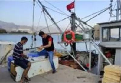Mersin'de boy limitlerine uymayan balıklara el konuldu Mersin'de boy limitlerine uymayan balıklara el konuldu