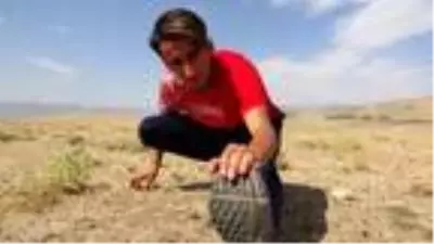 Milli atlet, tarlada Avrupa Gençler Şampiyonası'na hazırlanıyor Milli atlet, tarlada Avrupa Gençler Şampiyonası'na hazırlanıyor