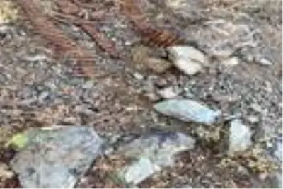Son dakika haber! PKK'ya ait çok sayıda mühimmat ele geçirildi Son dakika haber! PKK'ya ait çok sayıda mühimmat ele geçirildi