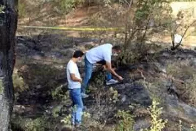 Son dakika gündem: Ormanlık alanda yangın sonrası yanmış ceset bulundu Son dakika gündem: Ormanlık alanda yangın sonrası yanmış ceset bulundu